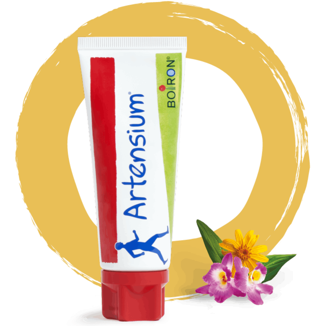 Artensium® cercle jaune