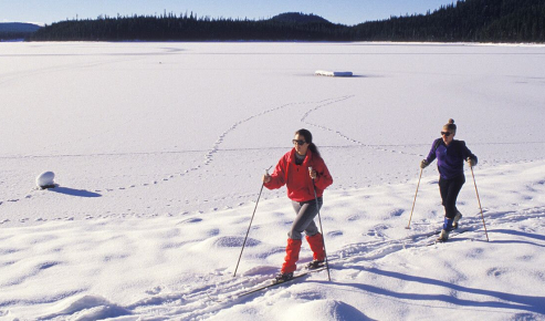 Les différents cycles d'effort en ski de fond 